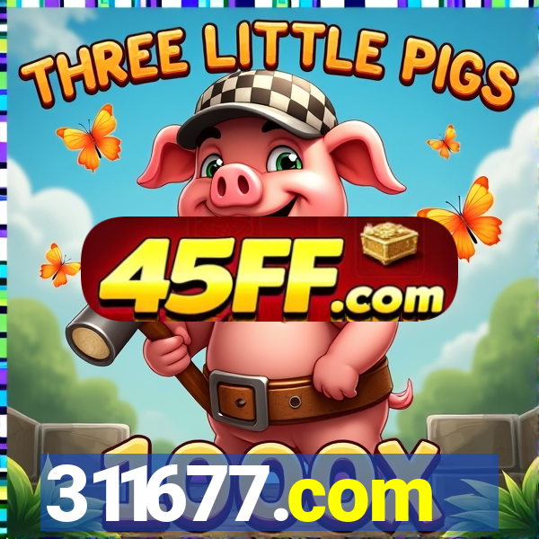 311677.com
