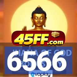 6566