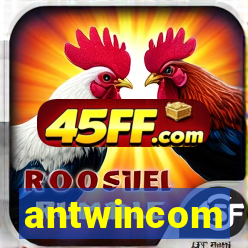 antwincom