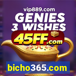 bicho365.com