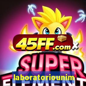 laboratoriounimedblumenau.com.br