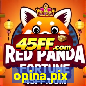 opina.pix
