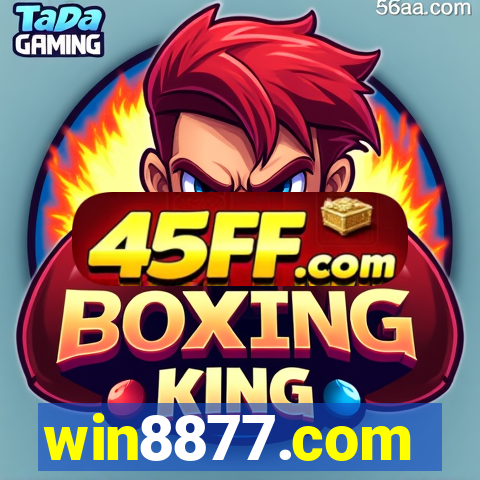 win8877.com