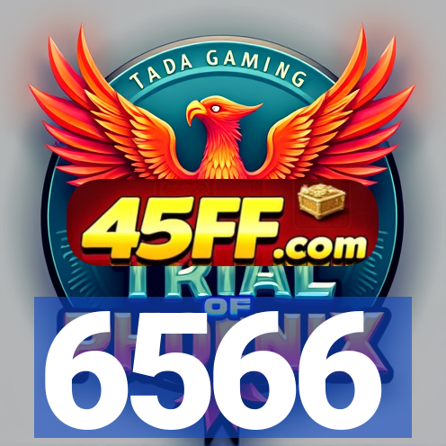 6566