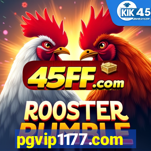 pgvip1177.com