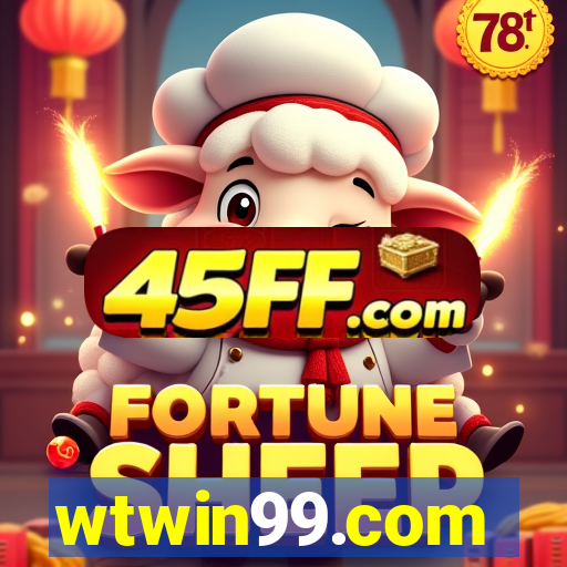 wtwin99.com